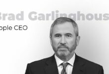 رئيس ريبل: لديّ تفاؤل كبير بمستقبل العملات الرقمية بحلول 2026