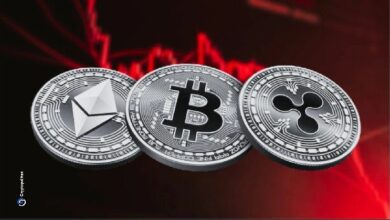 خسائر خزائن الأصول الرقمية تتجاوز 25 مليار دولار عقب الانهيار الأخير للعملات المشفرة