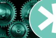 الشُّقْقَةُ الصَّعْبَةُ القادِمَةُ لـ كاسبا: كُلُّ ما تَعْرِفُهُ عَنْ تَحْدِيثِ العُهُودِ