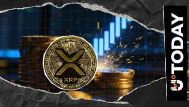 ارتفاع مؤشرات XRP على السلسلة بنسبة 10% يشير إلى تصاعد وتيرة نشاط البيع