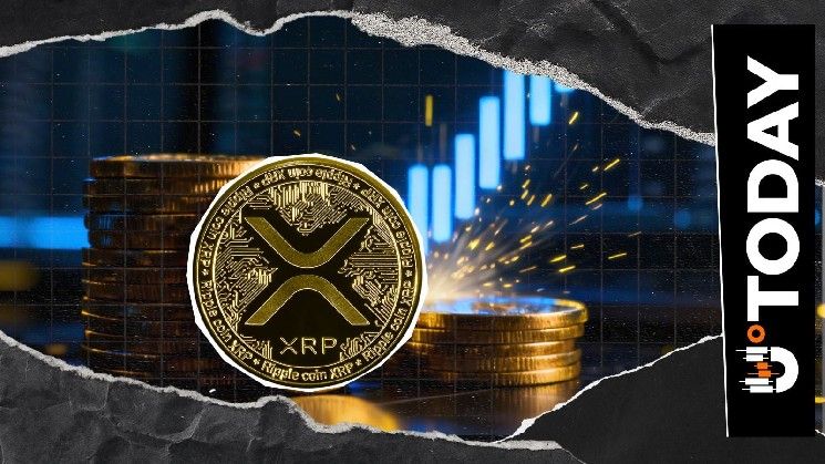 ارتفاع مؤشرات XRP على السلسلة بنسبة 10% يشير إلى تصاعد وتيرة نشاط البيع
