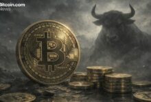 علامة صعودية؟ بيتكوين تقترب من معلم تاريخي مع اقتراب محافظ الـ 100 بيتكوين من 20 ألف