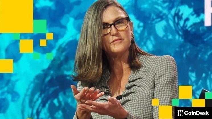 "أرك إنفست" تشتري أسهمًا مشفرة بقيمة 18 مليون دولار بما فيها شراء متواصل لـ"بوليش"