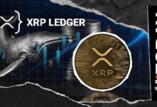 حجم المدفوعات على شبكة XRPL يصل إلى 773 مليون XRP: تحركات الحيتان أم اتجاه نحو منفعة جديدة؟