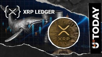 حجم المدفوعات على شبكة XRPL يصل إلى 773 مليون XRP: تحركات الحيتان أم اتجاه نحو منفعة جديدة؟