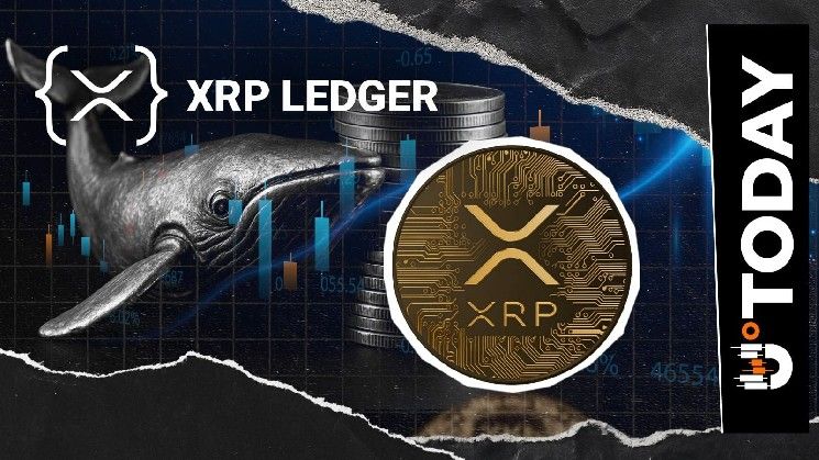 حجم المدفوعات على شبكة XRPL يصل إلى 773 مليون XRP: تحركات الحيتان أم اتجاه نحو منفعة جديدة؟