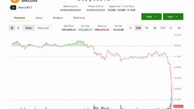 انخفاض البيتكوين 5% تحت 65 ألف دولار مع تصاعد مبيعات الحيتان وخسائر المشترين الجدد