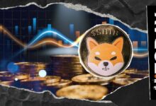 +152 مليار Shiba Inu (SHIB) خلال 24 ساعة فقط: تدفقات البورصات تُحفز المزيد من عمليات البيع