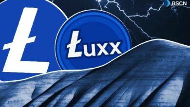 عمليات التعدين في لوكسفوليو للايتكوين: كيف تبني الشركة احتياطيات الـ LTC عبر تعدين سكريبت؟