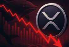 لماذا يهبط سعر XRP اليوم؟ إشارات سلسلة الكتل الضعيفة تزيد مخاطر الهبوط نحو 1.00 دولار