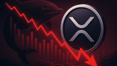 لماذا يهبط سعر XRP اليوم؟ إشارات سلسلة الكتل الضعيفة تزيد مخاطر الهبوط نحو 1.00 دولار