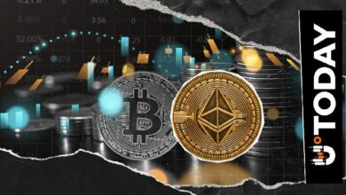 إيثيريوم أفضل من البيتكوين.. ريتشارد هارت يوضح الأسباب
