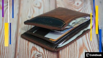 هانوا الكورية تستثمر 13 مليون دولار في محافظ العملات الرقمية "الخالية من البذور"