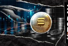 إعادة تنشيط محفظة الحوت الخاملة بسحب 50,000 عملة سول