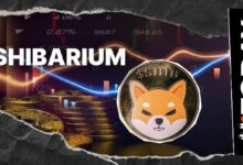 شيبا إينو: نظام استعادة شيباريوم يثير تساؤلات بعد استبعاد مشارك