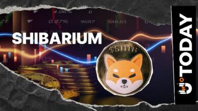 شيبا إينو: نظام استعادة شيباريوم يثير تساؤلات بعد استبعاد مشارك