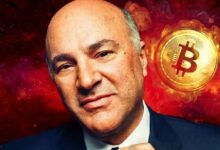 تصريحات الملياردير كيفين أوليري المثيرة للجدل: "الحيتان الكبرى لن تشتري البيتكوين دون حدوث هذا الأمر"