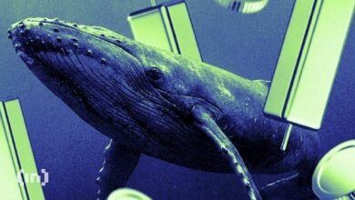 حيتان أونيكسكوين تتراكم 10 مليار XCN بينما يفوّت المتداولون الصغار فرصة تحرك صاعد متعدد الطبقات