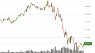 بيتكوين يهوي مجدداً قرب أدنى مستويات الأسبوع الماضي مع سيطرة مخاوف الذكاء الاصطناعي على القطاع التكنولوجي وانهيار المعادن النفيسة