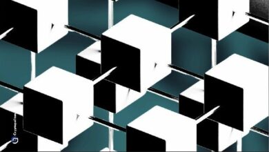 أرويفيف تنفي شائعات توقف شبكتها عن إنتاج الكتل لأكثر من 24 ساعة