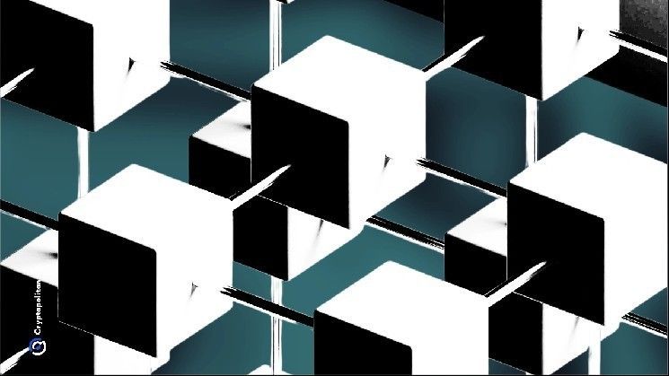 أرويفيف تنفي شائعات توقف شبكتها عن إنتاج الكتل لأكثر من 24 ساعة