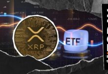 صناديق XRP المتداولة تُسجل صفر تدفقات رغم إشارات تعافي السعر