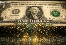 باكسوس لابز وأليو نيتورك تعلنان إطلاق شبكة رئيسية لعملة ستابلكوين تركز على الخصوصية