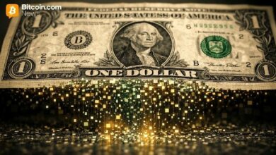 باكسوس لابز وأليو نيتورك تعلنان إطلاق شبكة رئيسية لعملة ستابلكوين تركز على الخصوصية