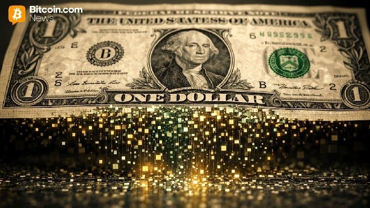 باكسوس لابز وأليو نيتورك تعلنان إطلاق شبكة رئيسية لعملة ستابلكوين تركز على الخصوصية