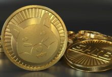 شيبا إينو تشهد خروج 140 مليار رمز من البورصات في ثلاثة أيام