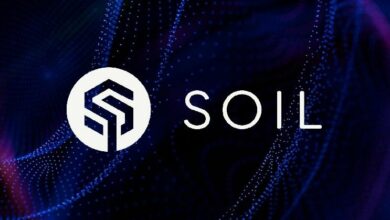 "سويل" تطلق أول بروتوكول عائد مدعوم بأصول حقيقية متوافق مع الأنظمة على شبكة XRPL