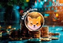 تنبيه حاسم جديد لمستكشف شبكة شيباريوم.. ما الذي يتغير؟