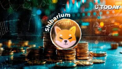 تنبيه حاسم جديد لمستكشف شبكة شيباريوم.. ما الذي يتغير؟