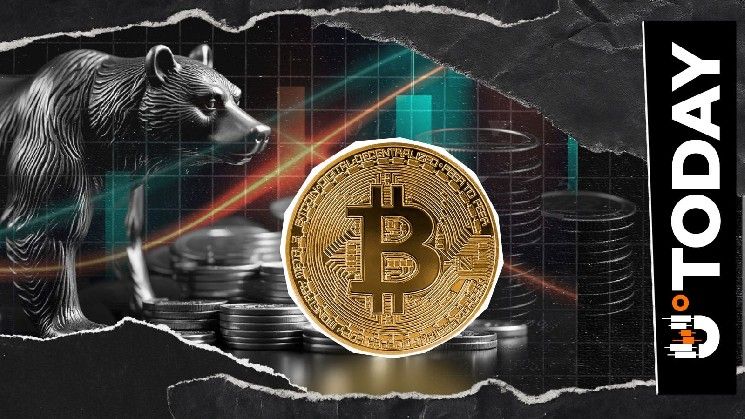 2026: عام غير مسبوق من الهبوط القاسي على بيتكوين