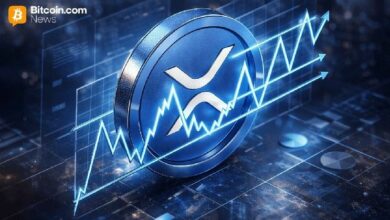 مُتداولو XRP يستعدون لمرحلة القاع: 3 أمور يجب مراقبتها هذا الأسبوع