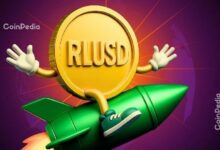 رئيس كاناري كابيتال: القوة الحقيقية لريبل ليست في سعر XRP بل في التحويلات المالية و RLUSD