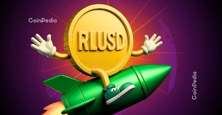 رئيس كاناري كابيتال: القوة الحقيقية لريبل ليست في سعر XRP بل في التحويلات المالية و RLUSD