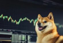 دوجكوين يواجه تقاطع الموت المزدوج