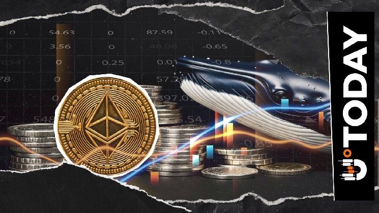 هل يحل غروب الشمس على إيثيريوم؟ الحيتان الكبرى والصناديق تبيع ETH