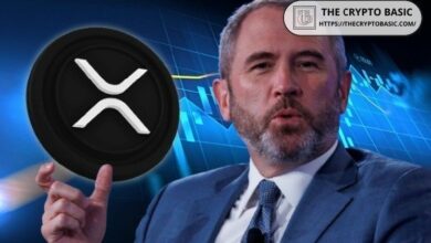 رئيس ريبل: عمليات الاستحواذ الاستراتيجية تعزز مكانة XRP