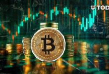 توقعات صعودية لسعر البيتكوين في فبراير بعد أداء يناير التاريخي