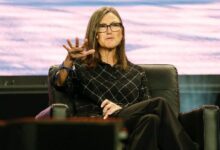 العملات البديلة التي أشارت إليها "كاثي وود" خلال الهبوط في سوق العملات الرقمية