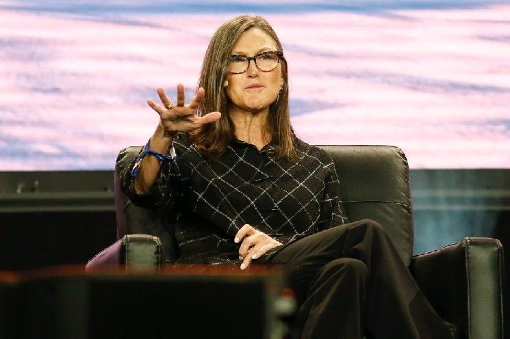 العملات البديلة التي أشارت إليها "كاثي وود" خلال الهبوط في سوق العملات الرقمية