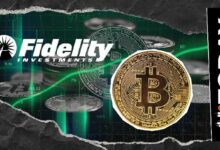 فان إيك: البيتكوين يفقد 29% والمشترون يستنفدون طاقة البائعين