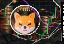 انسَ سعر شيبا إينو: لماذا تقييم القيمة السوقية لـ SHIB البالغ 3.6 مليار دولار أهم في 2026