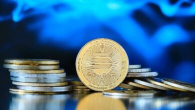 سولانا تصل إلى مستويات ذروة البيع وسط توقعات بتكرار سيناريو 2022