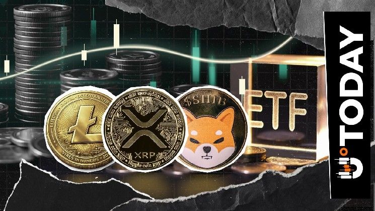 عملة لايتكوين وريبل وميم شيبا إينو تظهر في صندوق ETF تشفيري جديد نشط