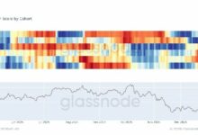 المستثمرون الأفراد يهرعون للخروج وسط تراجع البيتكوين، بينما 'الحيتان الكبرى' تشتري الهدوء بسعر منخفض