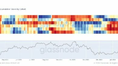المستثمرون الأفراد يهرعون للخروج وسط تراجع البيتكوين، بينما 'الحيتان الكبرى' تشتري الهدوء بسعر منخفض