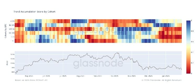 المستثمرون الأفراد يهرعون للخروج وسط تراجع البيتكوين، بينما 'الحيتان الكبرى' تشتري الهدوء بسعر منخفض